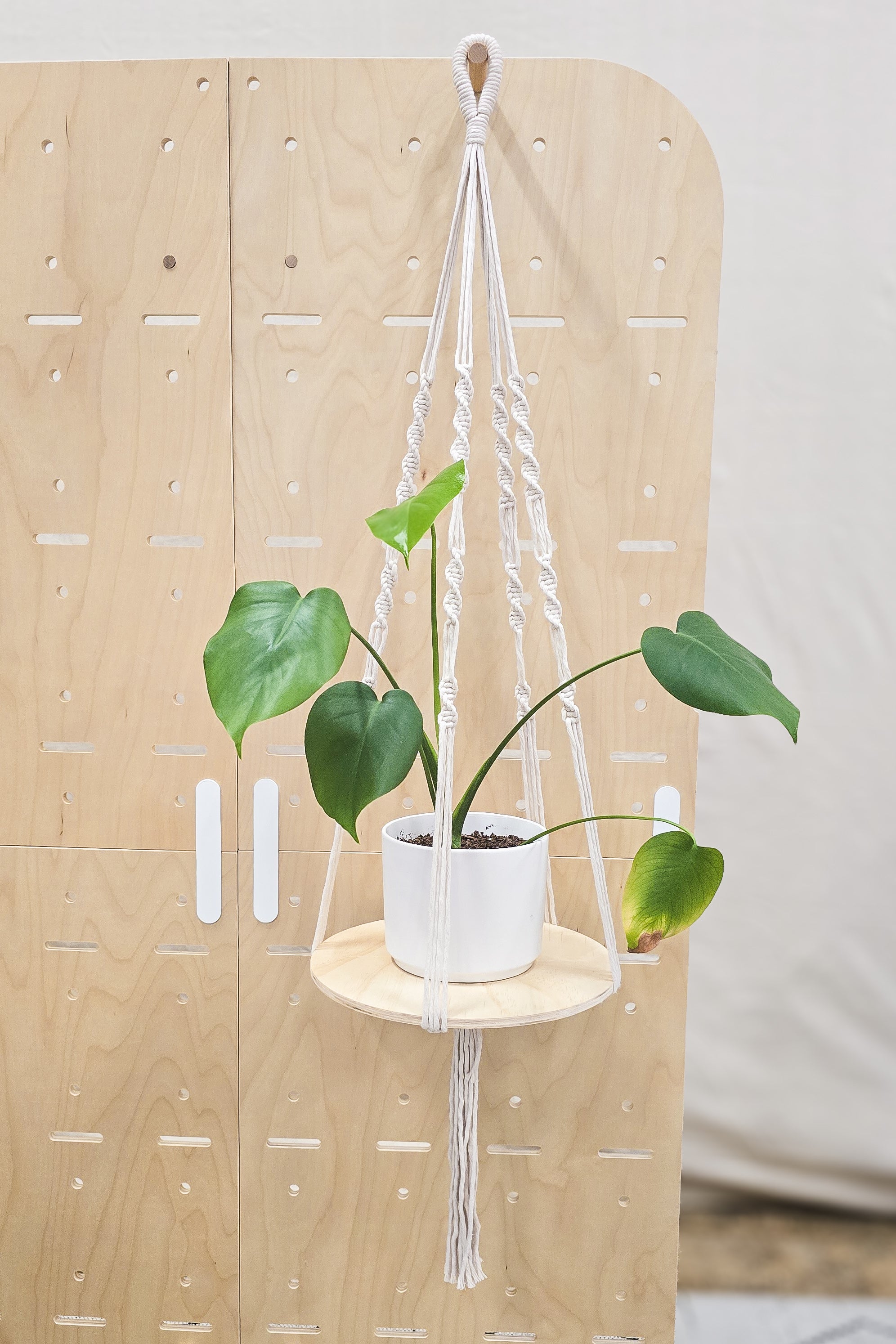 White Macrame Plant Hanger online