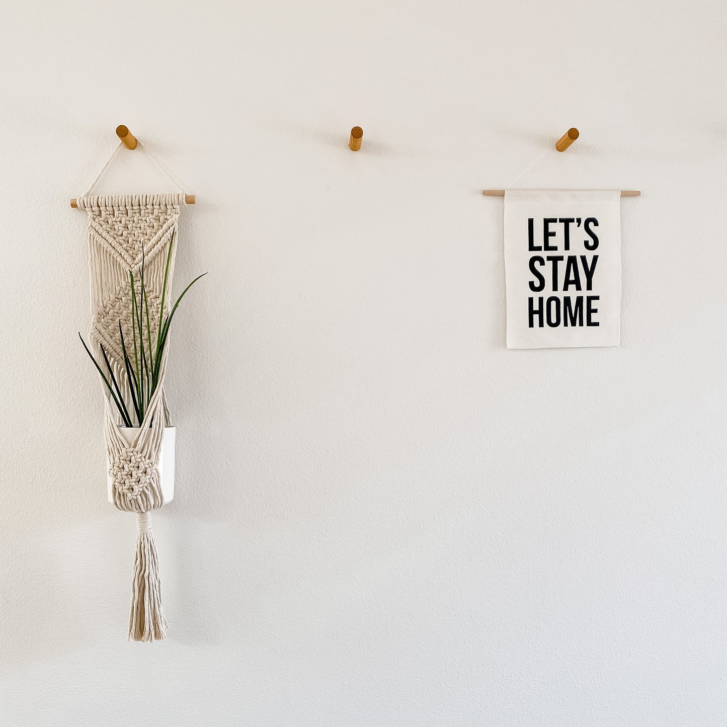 Macrame Hanging Wall Planter