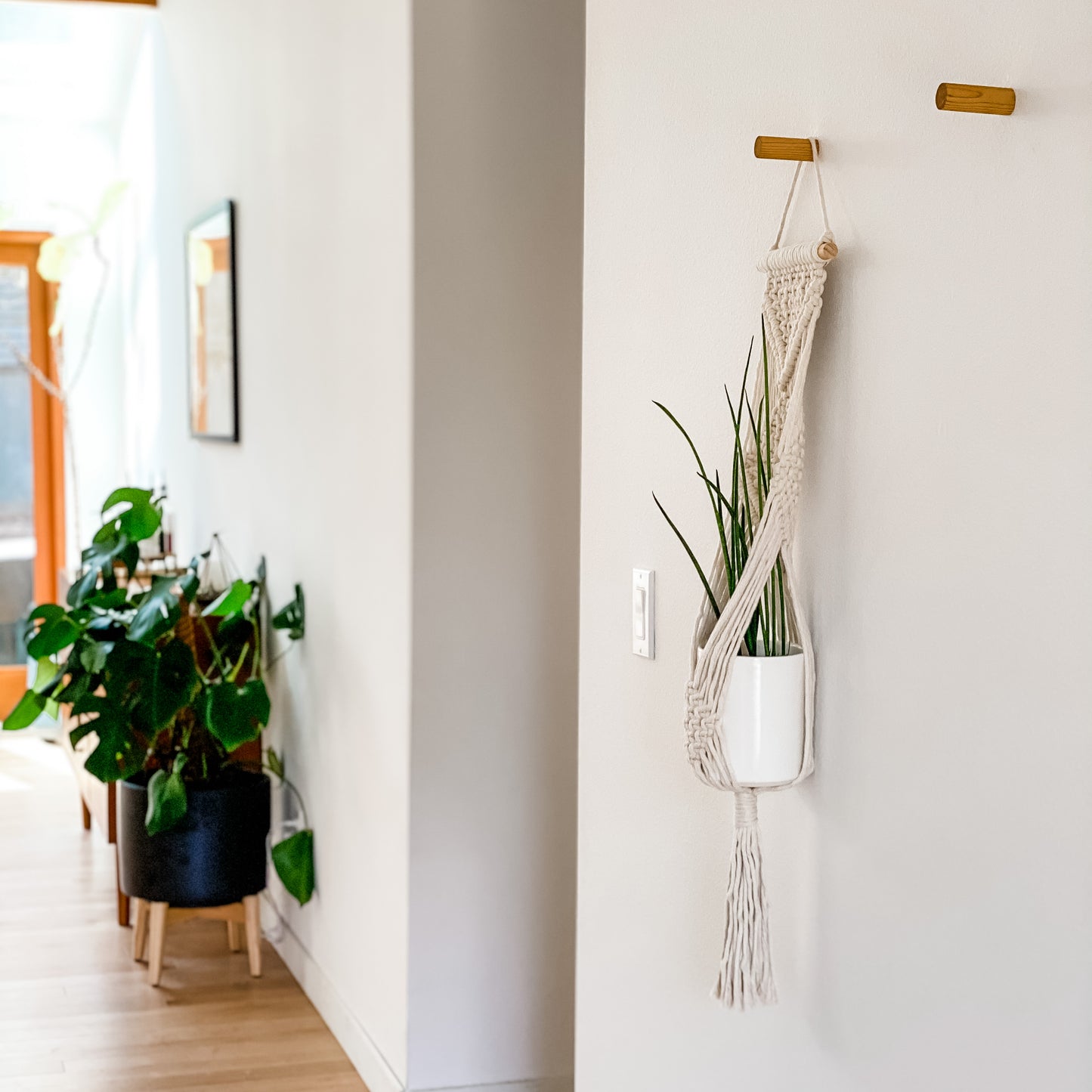 Macrame Hanging Wall Planter